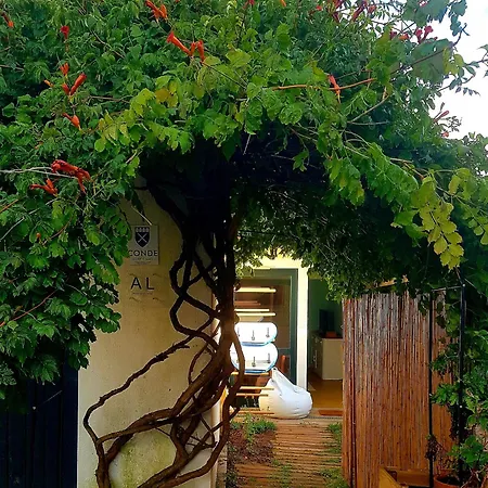 Conde Surf Camp - Capsule Beds Female Dorm Hostel *