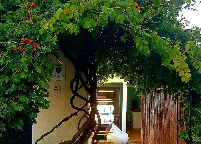 Conde Surf Camp - Capsule Beds Female Dorm Albergue *